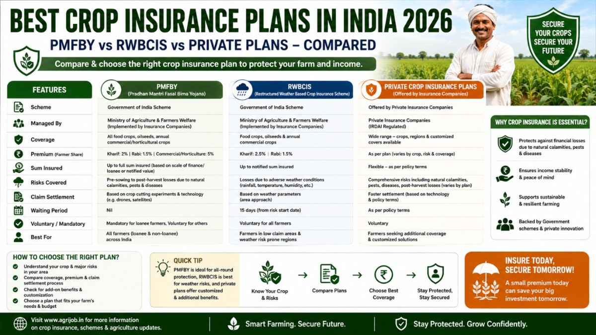 Best Crop Insurance PMFBY vs RWBCIS vs Private Insurance Compared