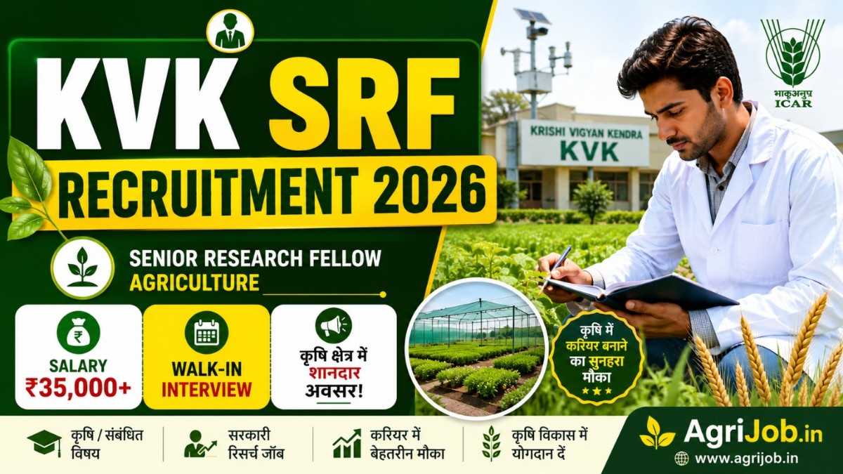 KVK SRF Current Opening – Agriculture Senior Research Fellow Job