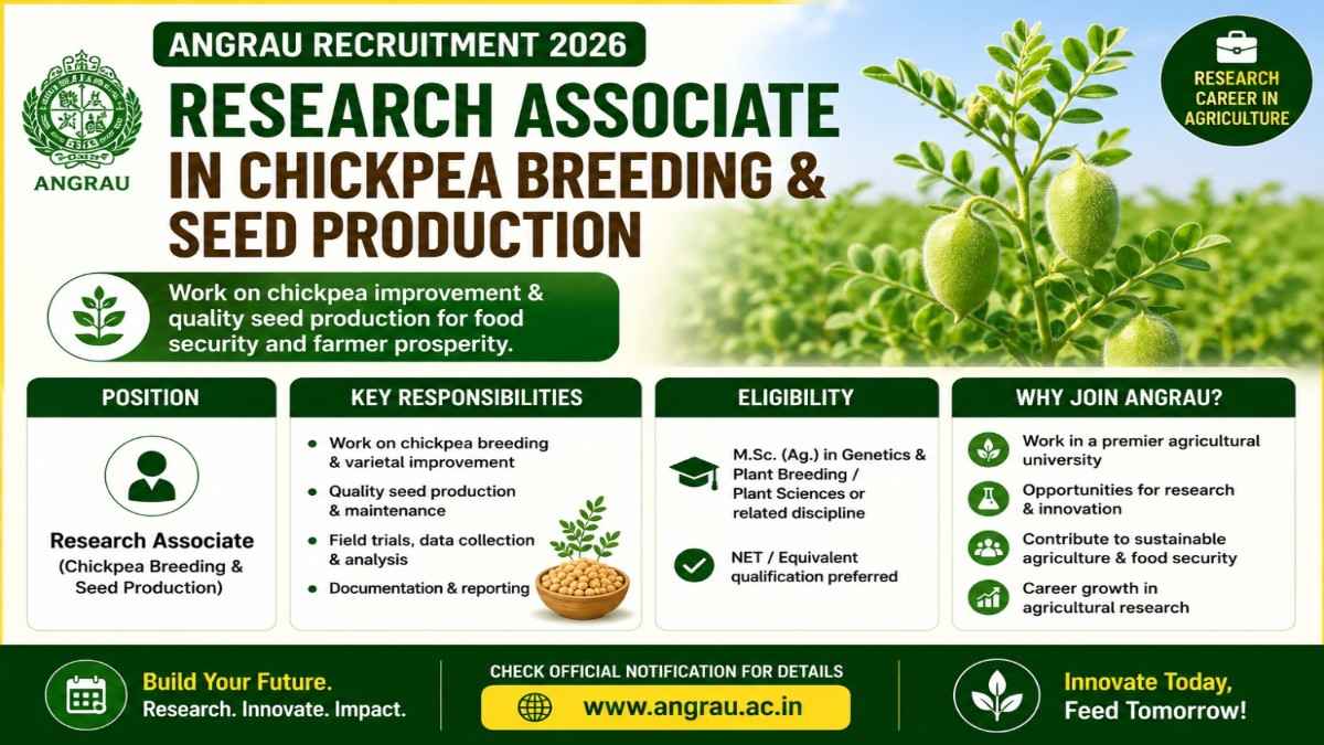 Research Associate in Chickpea Breeding & Seed Production — ANGRAU Recruitment Eligibility, Salary & Career Scope