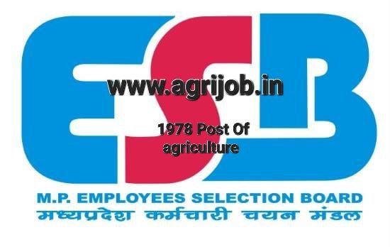 MPESB Recruitment 2023 1978 Post Gramin Krishi Vistar Adhikari, Lab Technician, Udyan Vistar Adhikari & other