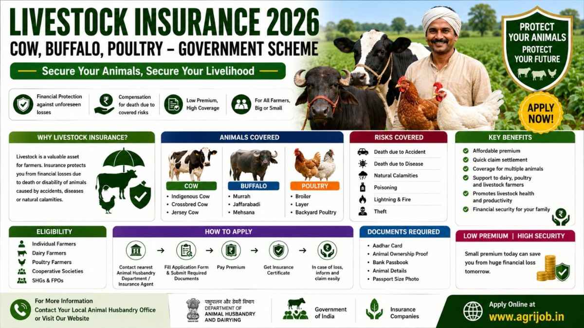 Livestock Insurance 2026 – Insure Cow, Buffalo & Poultry