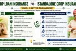 Crop Loan Insurance vs Standalone Crop Insurance 2026 – Which Protects Farmers Better?