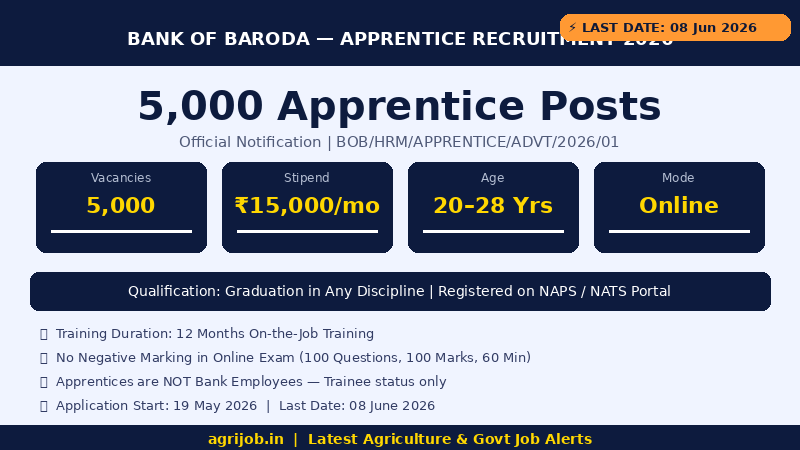 Bank of Baroda Apprentice Recruitment 2026 Vacancy Overview Infographic – agrijob.in
