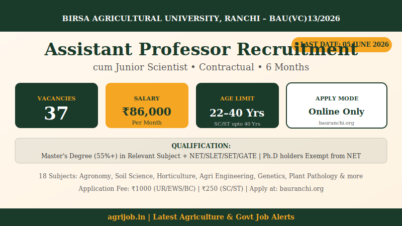 BAU Assistant Professor Recruitment 2026 Vacancy Overview Infographic – agrijob.in