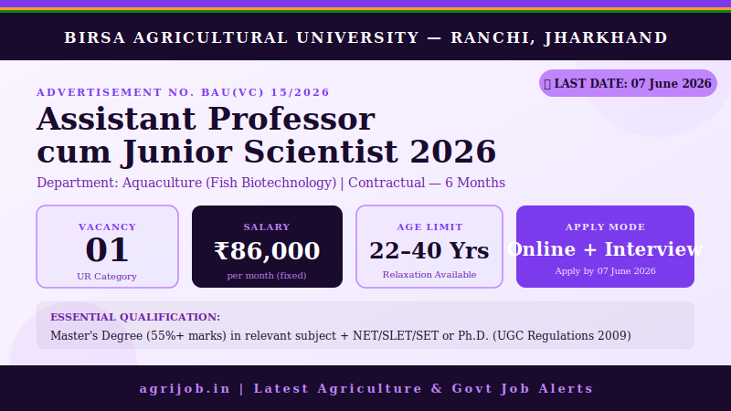 BAU Assistant Professor Recruitment 2026 Vacancy Overview Infographic – agrijob.in