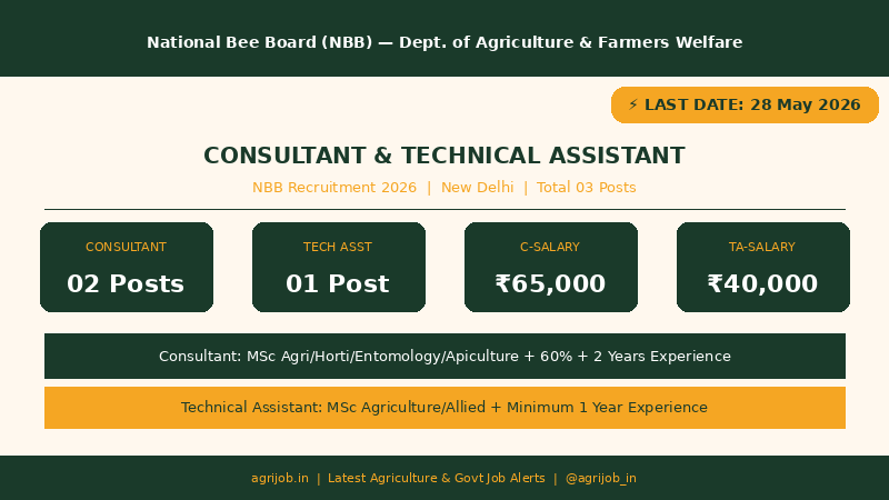NBB Consultant Technical Assistant Recruitment 2026 Vacancy Overview – agrijob.in