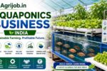 Aquaponics Business India