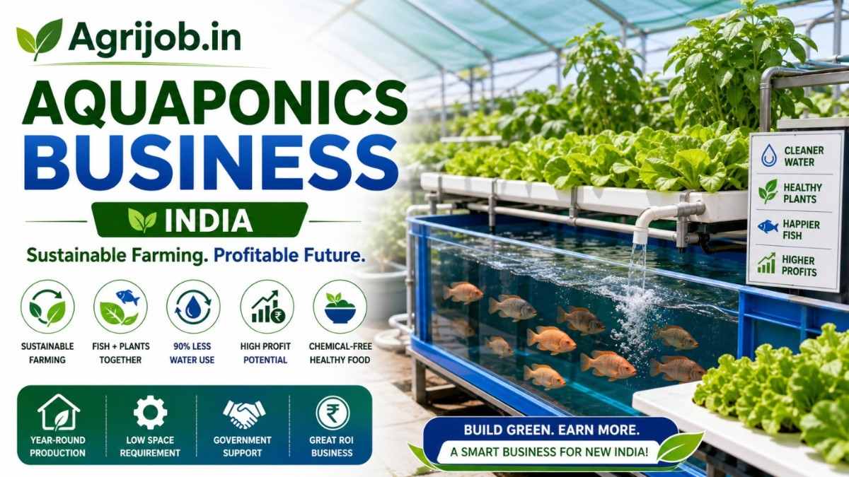 Aquaponics Business India