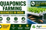 Aquaponics Farming Business 2026 – Rs.8 Lakh Profit Guide