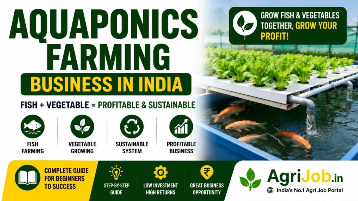 Aquaponics Farming Business 2026 – Rs.8 Lakh Profit Guide