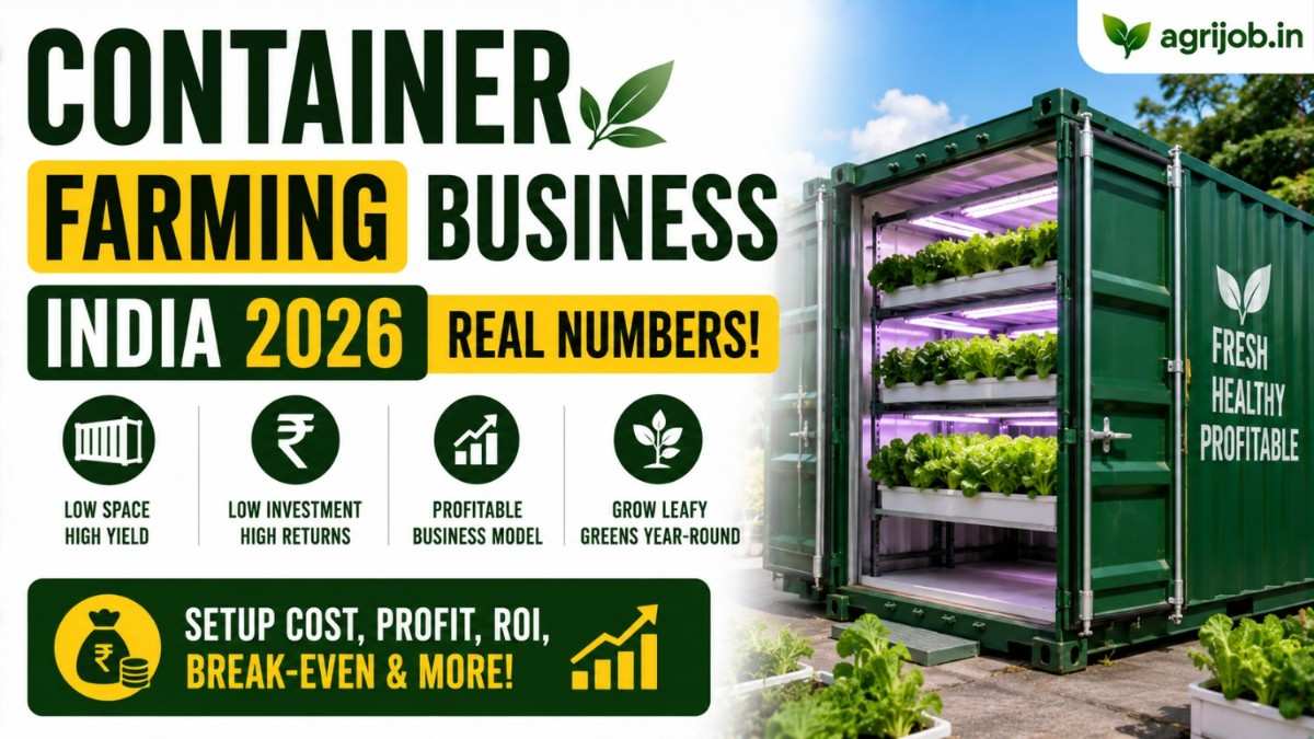 Container Farming India 2026 ₹40,000Month Real