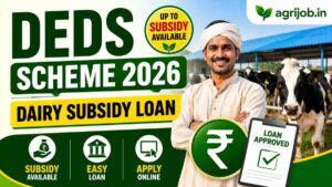 DEDS Scheme 2026 – 25% Subsidy, Loan & Apply Online