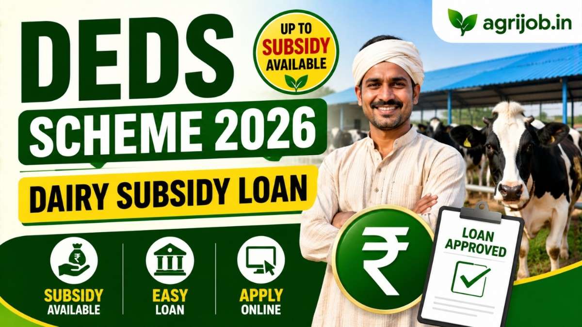 DEDS Scheme 2026 – 25% Subsidy, Loan & Apply Online