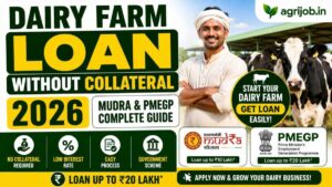 Dairy Farm Loan Without Collateral 2026 – Mudra, PMEGP & Zero Security Guide