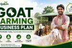 Goat Farming Business Plan 2026