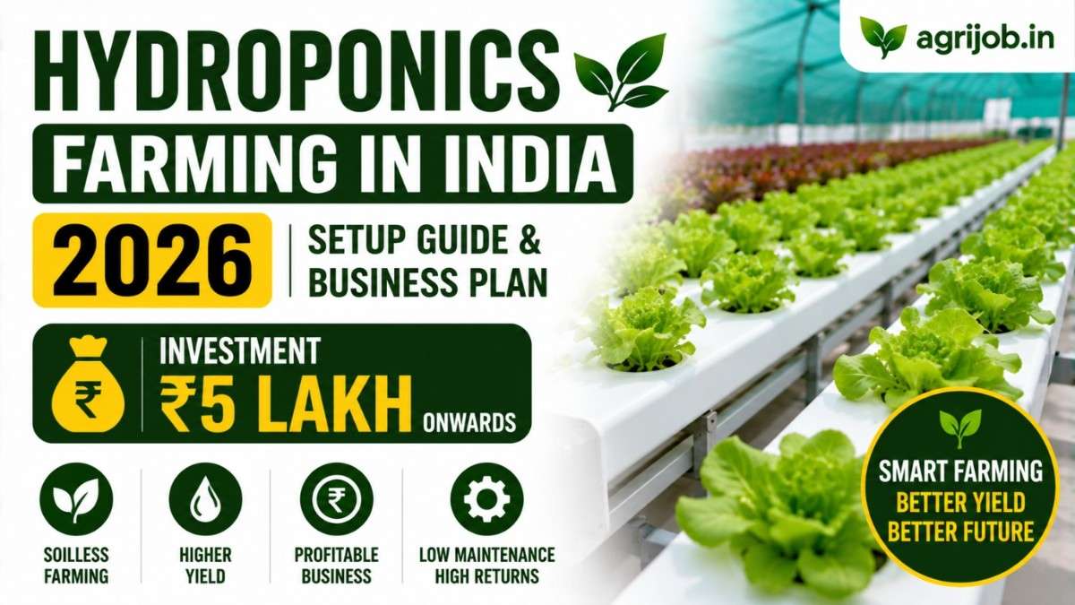 Hydroponics Farming India 2026 – Rs.5 Lakh Setup Guide