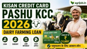 Kisan Credit Card Dairy Farming 2026 – Loan Limit & Apply