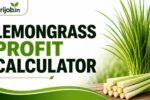 Lemongrass Profit Calculator
