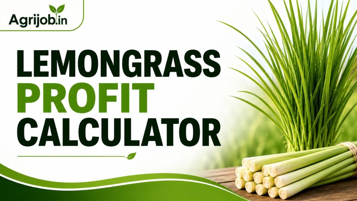 Lemongrass Profit Calculator