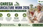 MGNREGA Agriculture Work 2026 – Register & Earn Up to ₹400Day