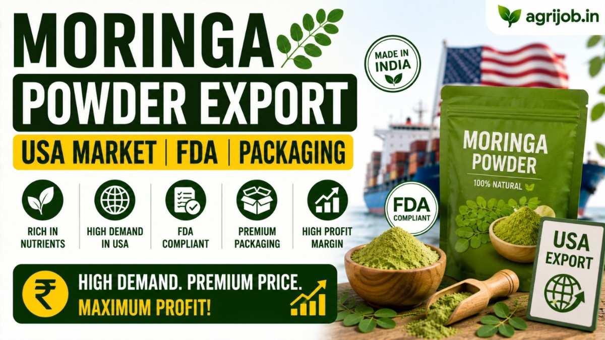 Moringa Powder Export USA 2026 FDA Rules, Profit Margin