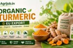 Organic Turmeric EU Export