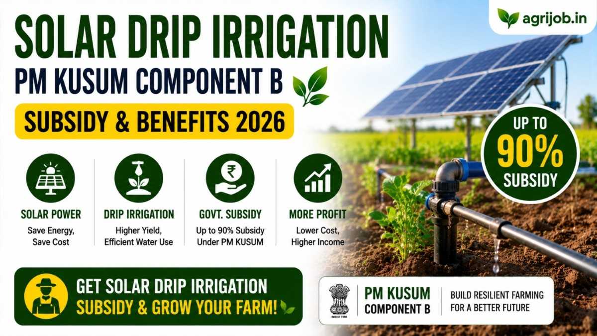 PM Kusum Component B Subsidy 2026 Apply, States & Vendors
