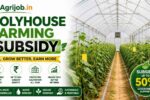 Polyhouse Farming Subsidy 2026