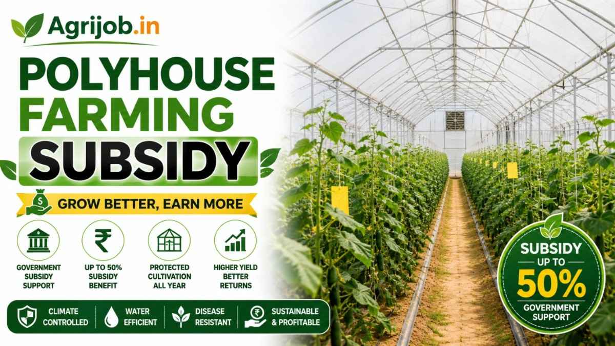 Polyhouse Farming Subsidy 2026