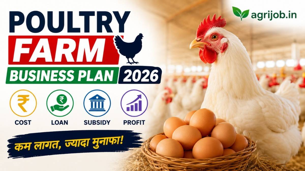 Poultry Farm Business Plan 2026 – Cost, Loan, Subsidy & Profit