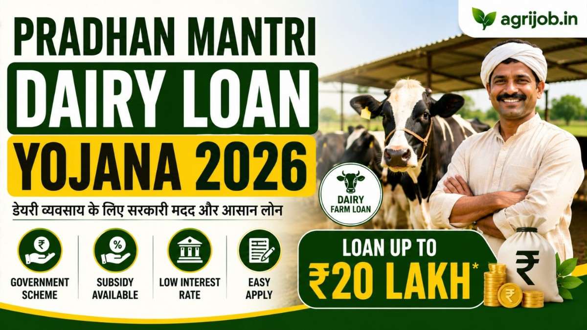 Pradhan Mantri Dairy Loan Yojana 2026 – Schemes, Subsidy & Apply