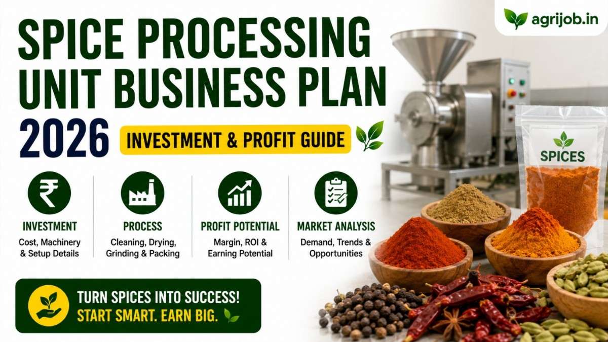 Spice Processing Unit Business Plan 2026 Rs.12 Lakh Setup