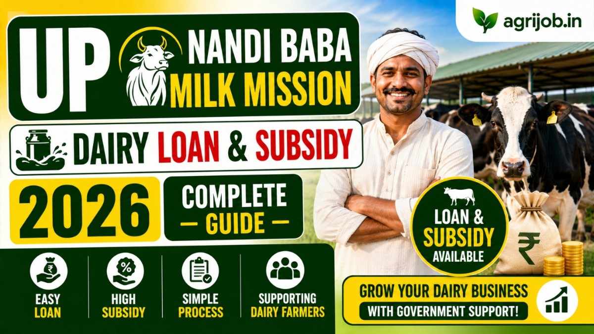 UP Nandi Baba Milk Mission 2026 – Dairy Loan & Subsidy Guide