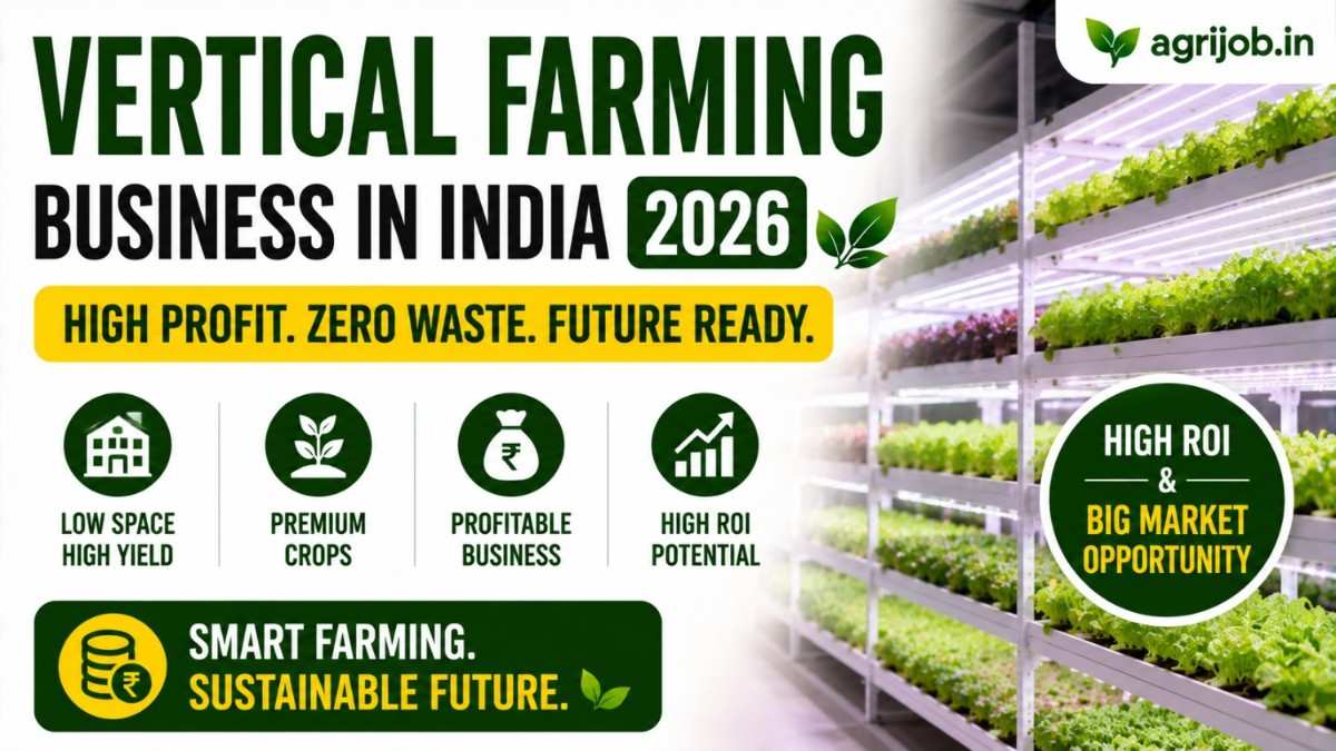 Vertical Farming Business India 2026 – Setup Cost, Crops, ROI & Market Opportunity