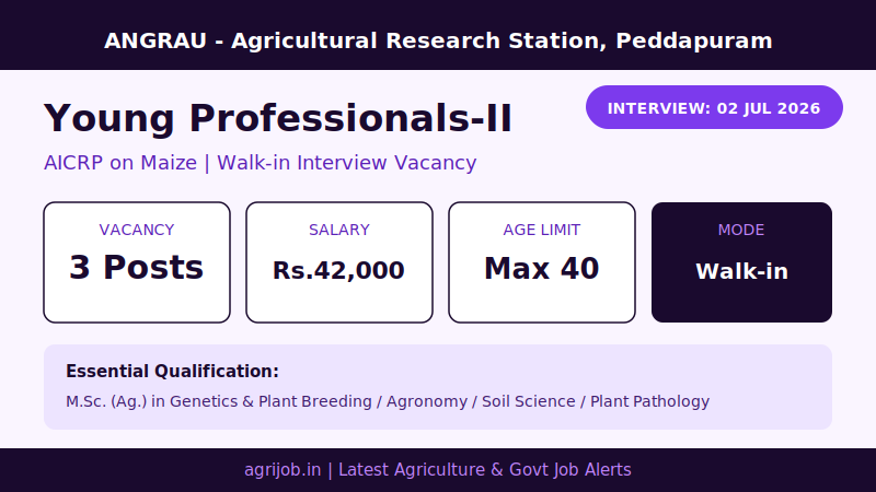 ANGRAU Young Professionals Recruitment 2026 Vacancy Overview Infographic – agrijob.in