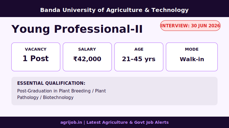 BUAT Young Professional Recruitment 2026 Vacancy Overview Infographic – agrijob.in