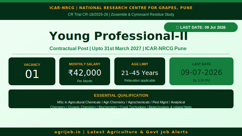 ICAR-NRCG Young Professional Recruitment 2026 Vacancy Overview Infographic – agrijob.in