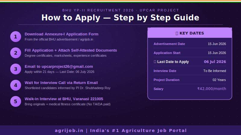 BHU Young Professional II Recruitment 2026 How to Apply Step Guide – agrijob.in