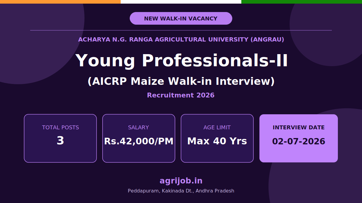 ANGRAU Young Professionals Recruitment 2026 Notification Banner – agrijob.in