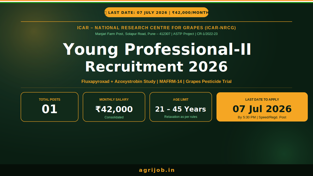 ICAR-NRCG Young Professional 2 ASTP Recruitment 2026 Notification Banner – agrijob.in