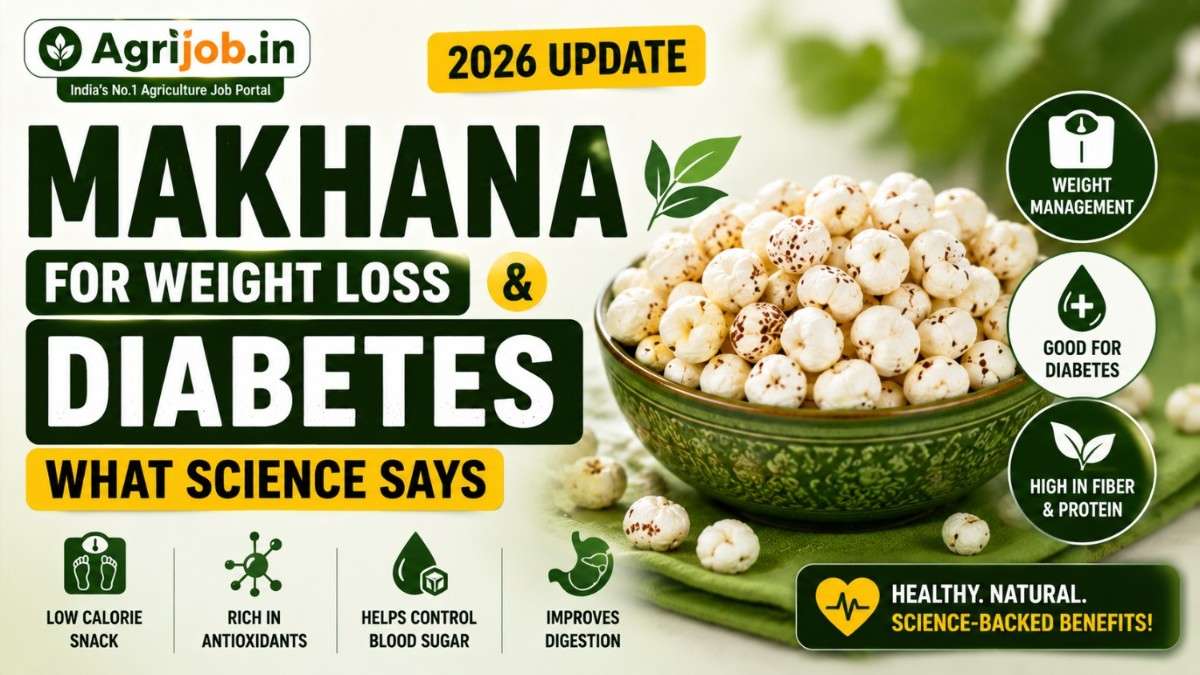 Makhana for Weight Loss and Diabetes – What Science Says 2026