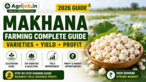 Makhana Farming 2026 – Complete Guide to Rs.10 Lakh Profit Per Acre
