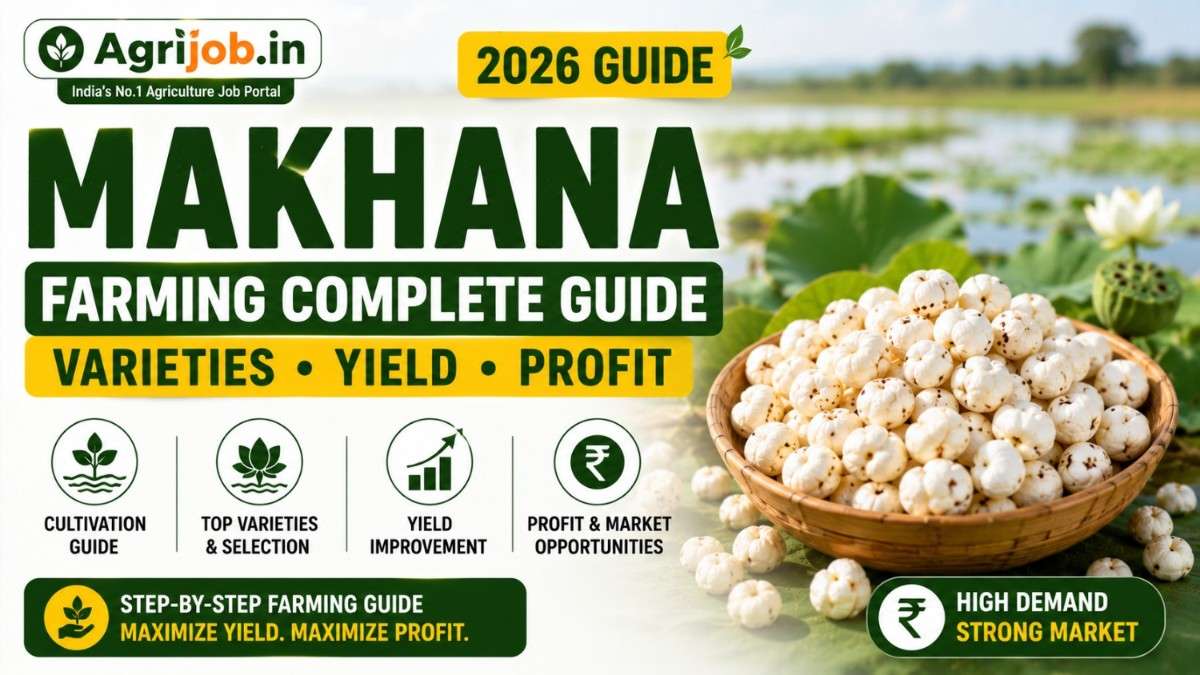 Makhana Farming 2026 – Complete Guide to Rs.10 Lakh Profit Per Acre