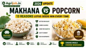 Makhana vs Popcorn 2026 – 13 Reasons Lotus Seeds Win Every Time
