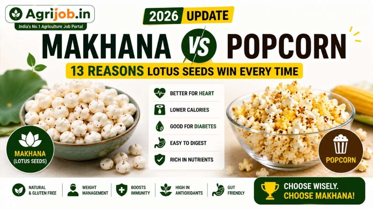 Makhana vs Popcorn 2026 – 13 Reasons Lotus Seeds Win Every Time