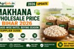Makhana Wholesale Price in Bihar 2026 – Grade-Wise Rates, Buying Season & Supplier Guide