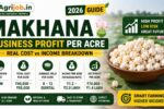 Makhana Business Profit Per Acre 2026 – Real Cost vs Income Breakdown