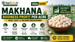 Makhana Business Profit Per Acre 2026 – Real Cost vs Income Breakdown