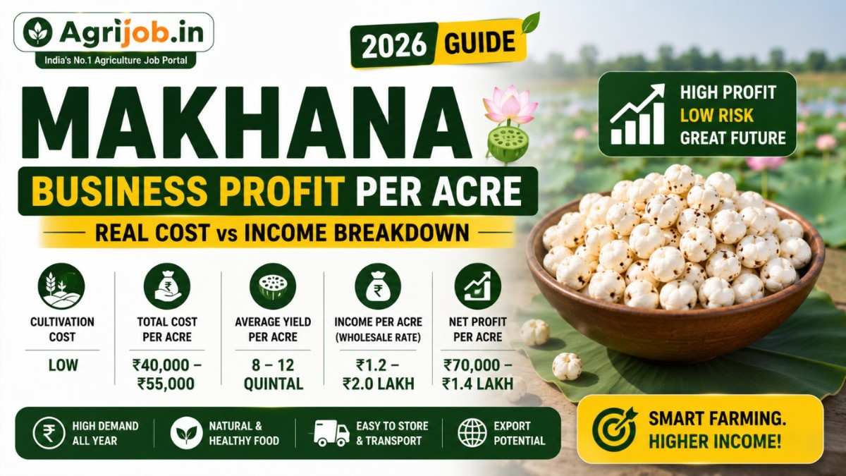 Makhana Business Profit Per Acre 2026 – Real Cost vs Income Breakdown