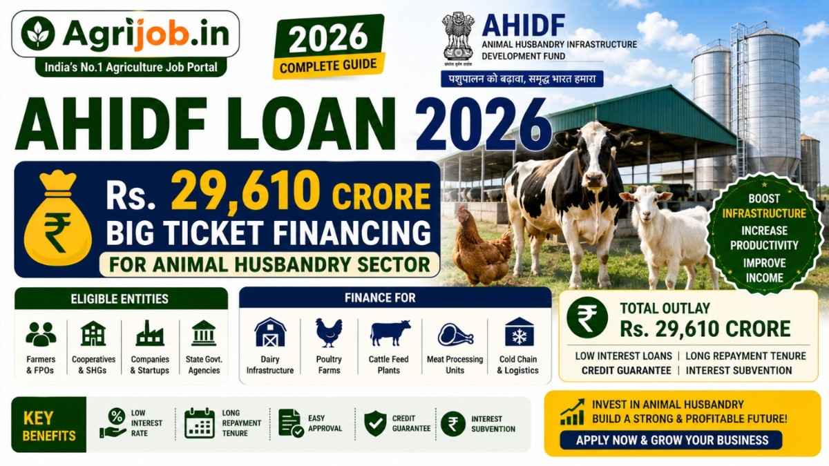 AHIDF Loan 2026 – Rs.29,610 Crore Big Ticket Financing for Animal Husbandry